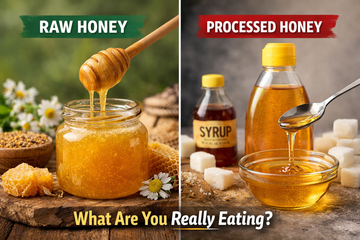 Raw Honey vs Processed Honey: What Are You Really Eating?